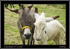 082_wild-west_28-07.jpg