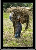 084_wild-west_28-07.jpg