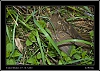 086_wild-west_29-07.jpg