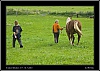 092_wild-west_30-07.jpg