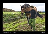 093_wild-west_30-07.jpg