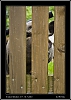 094_wild-west_30-07.jpg
