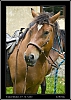 098_wild-west_30-07.jpg