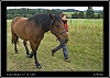 103_wild-west_30-07.jpg