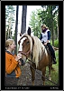 122_wild-west_30-07.jpg