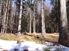 015-vylet-svratka-05-03-2011.jpg