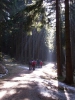 016-vylet-svratka-05-03-2011.jpg