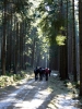 051-vylet-svratka-05-03-2011.jpg