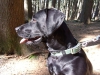 054-vylet-svratka-05-03-2011.jpg
