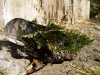 056-vylet-svratka-05-03-2011.jpg