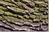 R_kurz_2002__023.jpg