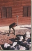 R_kurz_2002__027.jpg