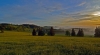 DSC_0966.jpg