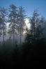 DSC_0991.jpg