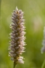 DSC_1012.jpg