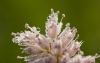 DSC_1015.jpg