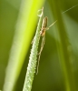 DSC_1033.jpg