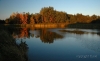 DSC_2801.JPG