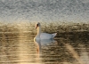 DSC_2817.JPG
