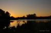 DSC_2829.JPG