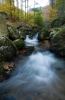 DSC_2725.jpg