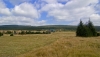 DSC_2824.jpg