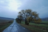 DSC_4957.jpg