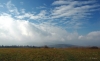 DSC_5048.jpg
