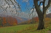 DSC_5084.jpg
