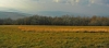 DSC_5116.jpg