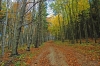 DSC_5121.jpg
