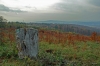 DSC_5162.jpg