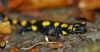 DSC_5214.jpg