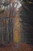DSC_5245.jpg