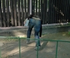 DSC_0358_Takhle_to_dopada_kdyz_nekdo_neumi_chodit.jpg