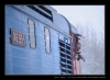 007-silvestr-28-12-2010.jpg