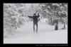 015-silvestr-28-12-2010.jpg
