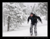 018-silvestr-28-12-2010.jpg