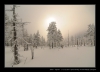 020-silvestr-28-12-2010.jpg
