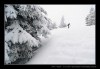 022-silvestr-28-12-2010.jpg