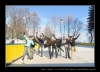 037-silvestr-29-12-2010.jpg