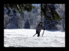 049-silvestr-30-12-2010.jpg