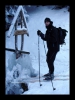 055-silvestr-30-12-2010.jpg