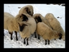 064-silvestr-31-12-2010.jpg