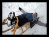 065-silvestr-31-12-2010.jpg