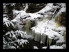 067-silvestr-31-12-2010.jpg