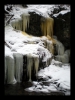 068-silvestr-31-12-2010.jpg