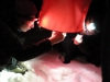 082-silvestr-01-01-2011.jpg
