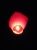 085-silvestr-01-01-2011.jpg