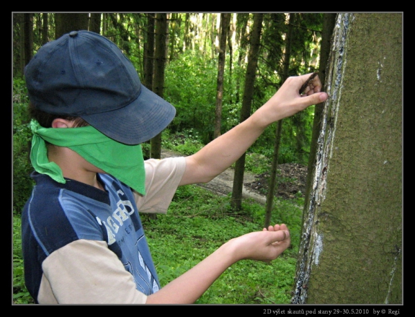 Klikněte pro zobrazení původního (velkého) obrázku